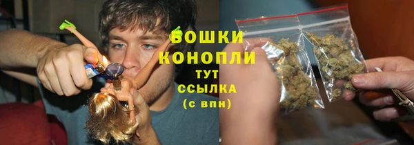 винт Дмитров