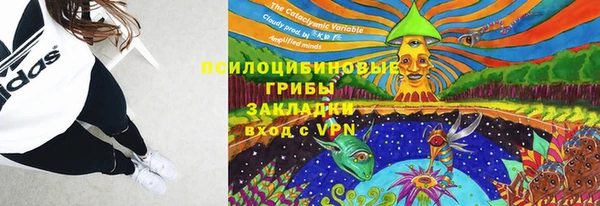 винт Дмитров