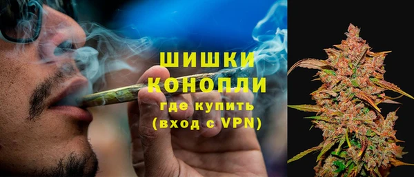 винт Дмитров