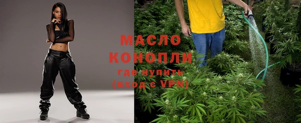 винт Дмитров